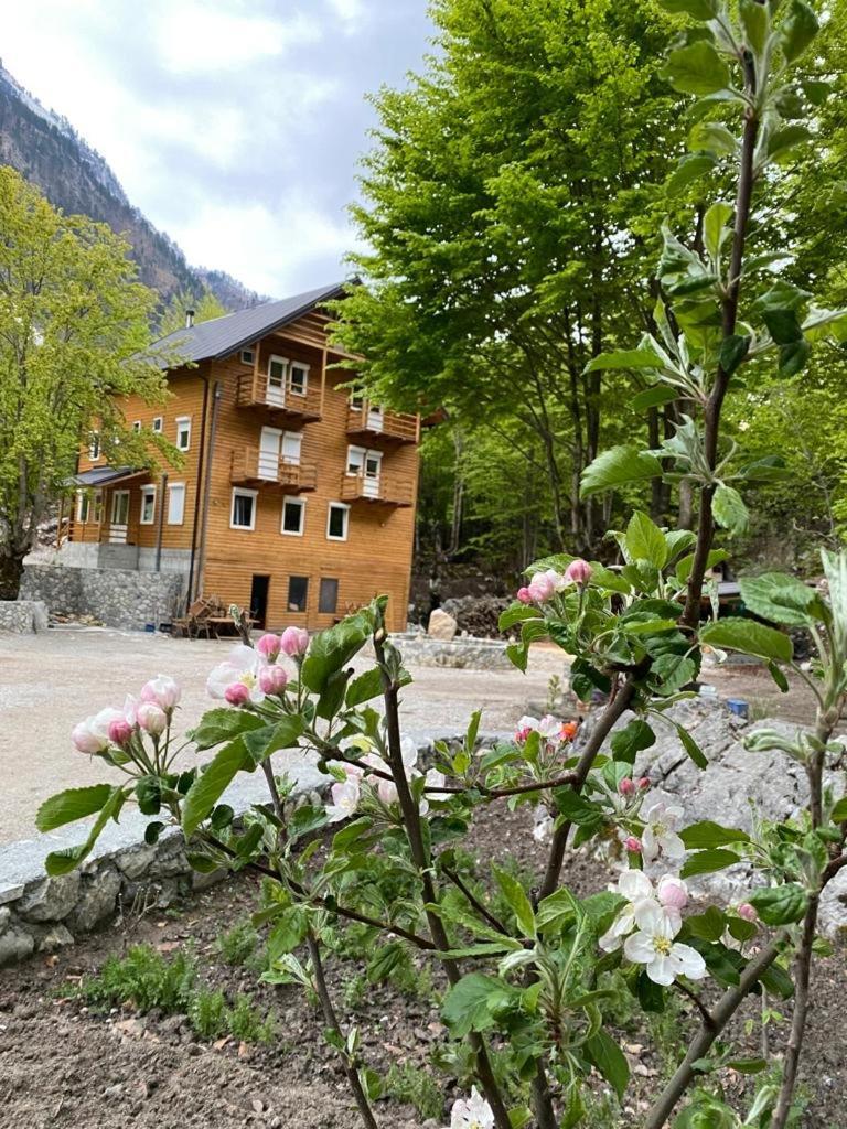 Adenisi guesthouse Tropoje Eksteriør billede